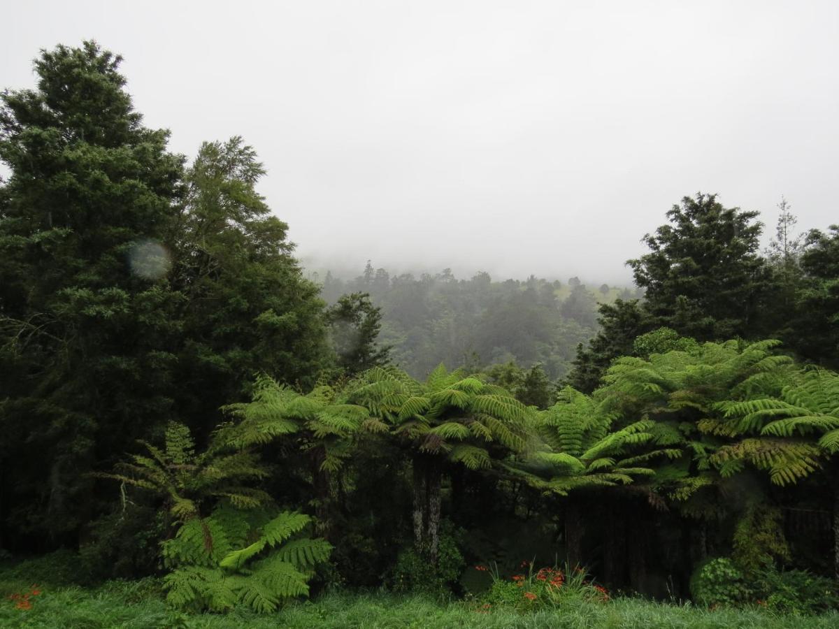 Karangahake Crown Ridge Miners Cottage מראה חיצוני תמונה