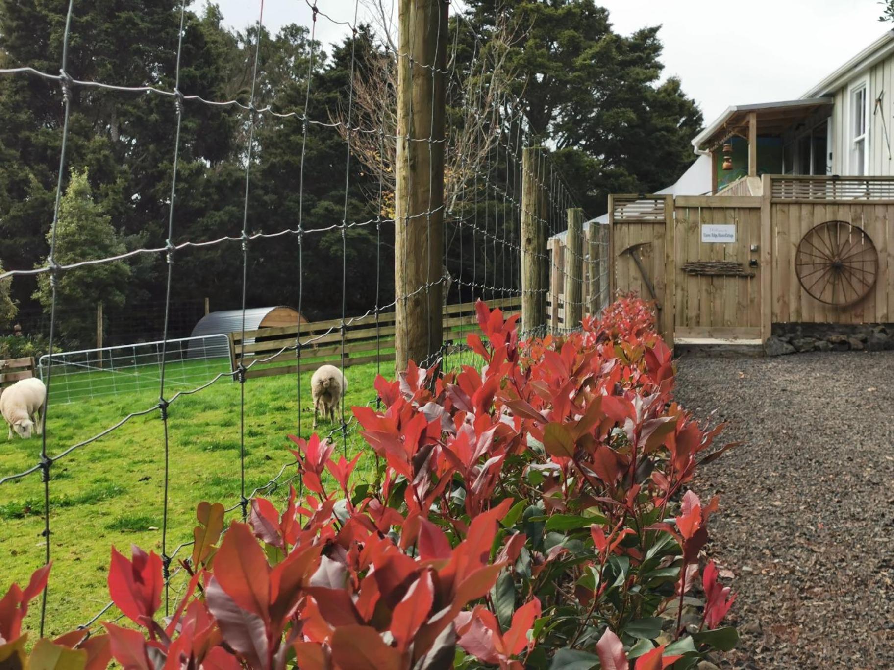 Karangahake Crown Ridge Miners Cottage מראה חיצוני תמונה