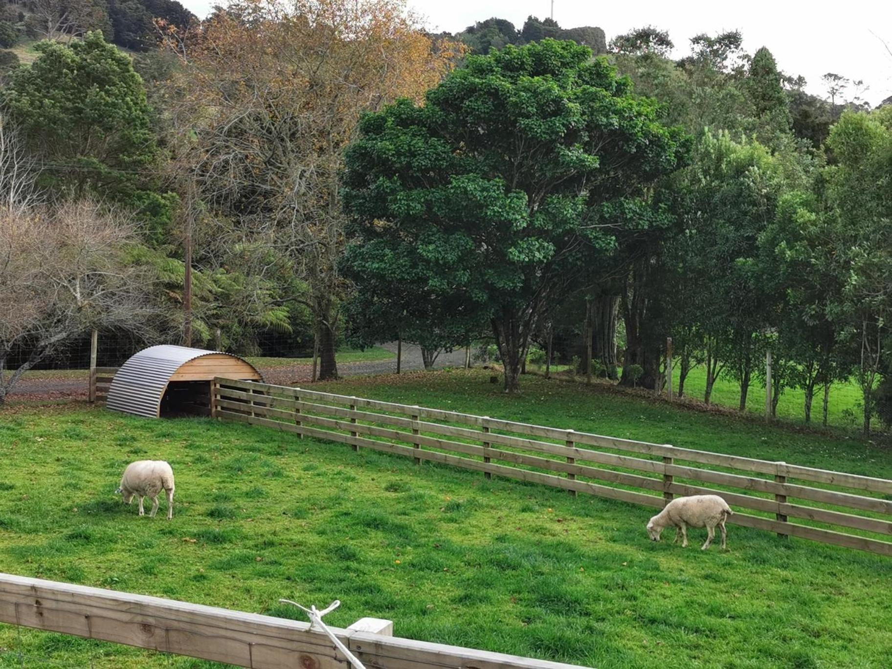 Karangahake Crown Ridge Miners Cottage מראה חיצוני תמונה